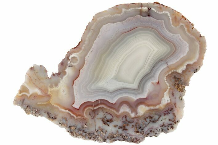 Polished Laguna Agate Slice - Mexico #198082